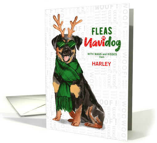 From the Dog Christmas Rottweiler Funny Fleas NaviDOG Custom card