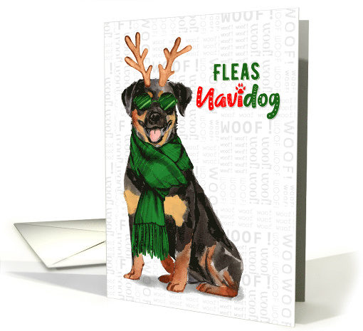 Funny Christmas Rottweiler Fleas NaviDOG Pet Lover Holiday card