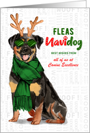Business Rottweiler Fleas Navidog Christmas Dog Custom card