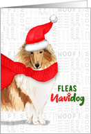 Funny Christmas Collie Fleas NaviDOG Pet Lover Holiday card