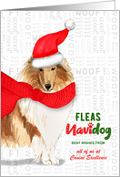 Business Collie Fleas Navidog Christmas Dog Custom card