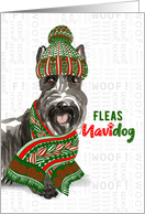 Funny Christmas Scottish Terrier Fleas NaviDOG Pet Lover Holiday card