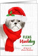 Business Imperial Shih Tzu Fleas Navidog Christmas Dog Custom card