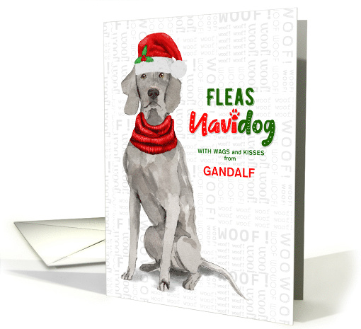 From the Dog Christmas Weimaraner Fleas NaviDOG Custom card (1692340)