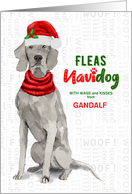 From the Dog Christmas Weimaraner Fleas NaviDOG Custom card