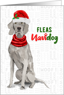 Funny Christmas Weimaraner Fleas NaviDOG Pet Lover Holiday card