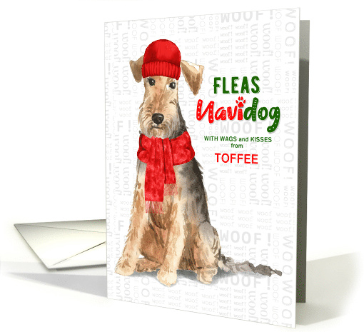 From the Dog Christmas Welsh Terrier Fleas NaviDOG Custom card