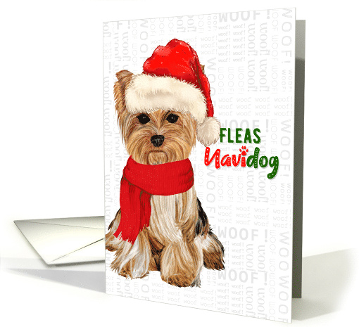 Funny Yorkshire Terrier Fleas NaviDOG Pet Lover Holiday card (1692870)