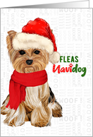 Funny Yorkshire Terrier Fleas NaviDOG Pet Lover Holiday card