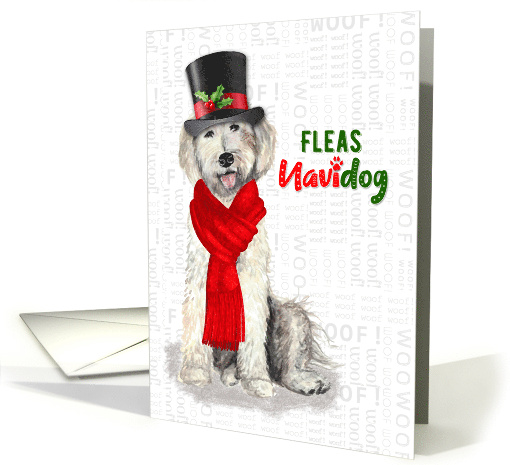 Funny Christmas Yellow Labradoodle Fleas NaviDOG Holiday card