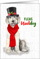 Funny Christmas Yellow Labradoodle Fleas NaviDOG Holiday card