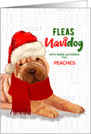 From the Dog Christmas Chinese Shar Pei Fleas NaviDOG Custom card