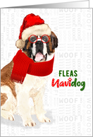 Funny Christmas Saint Bernard Fleas NaviDOG Pet Lover Holiday card
