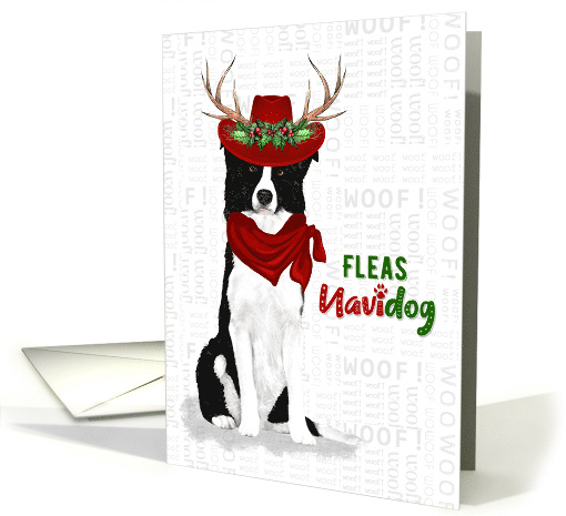 Funny Christmas Border Collie Fleas NaviDOG Pet Lover Holiday card