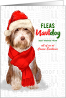 Business Sheepdog Fleas Navidog Christmas Dog Custom card