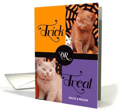 from the Pet Trick or Treat Cute Halloween Two Photos card (1694190)
