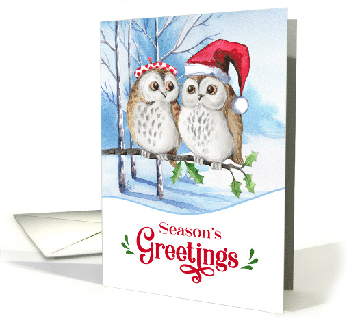 Season's Greetings Woodland Owl Couple in Snowy Birch Forest card