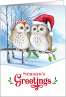 Season’s Greetings Woodland Owl Couple in Snowy Birch Forest card