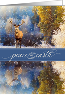 Peace on Earth Christmas Winter Woodland Deer Nature Scene card