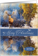 for Brother Merry Christmas Woodland Deer in the Snow card