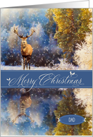 for Dad Christmas Woodland Deer in the Snow card