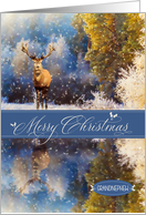 for Grandnephew Christmas Woodland Deer in the Snow card