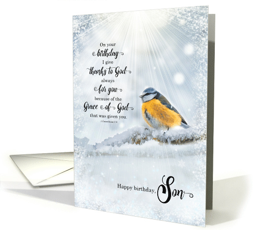 Son's Birthday 1 Corinthians 1 Verse 4 Winter Bird card (1723442)