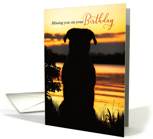 Missing You on Your Birthday Dog Silhouette Sunset card (1728542)
