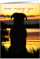 Missing You Dog Silhouette by a Sunset Lake card