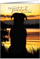 Thank You Dog Silhouette at a Sunset Lake card