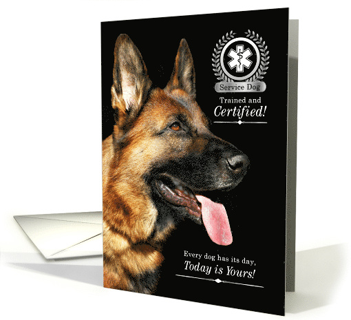Service Dog Graduate German Shepherd on Black card (1729382)