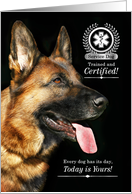 Service Dog Graduate German Shepherd on Black card