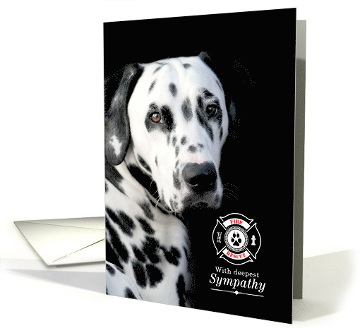 Sympathy Loss of a Firehouse Dog Dalmatian on Black card (1729386)