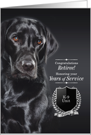 K9 Police Dog Retirement with a Black Labrador Retriever on Gray card