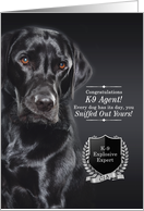 K9 CIA Bomb Dog Graduate Black Labrador Retriever card