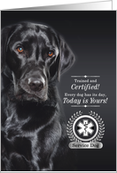 Service Dog Certification Graduation Black Labrador Retriever card