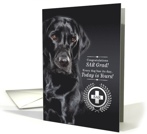Search and Rescue K9 SAR Graduate Black Labrador Retriever card