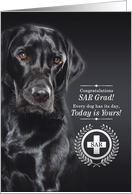 Search and Rescue K9 SAR Graduate Black Labrador Retriever card