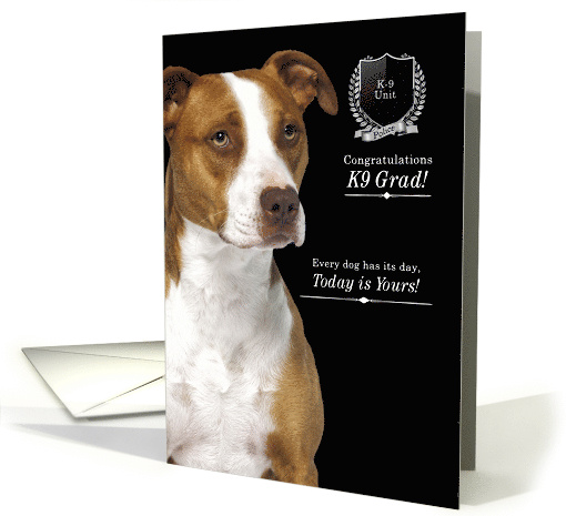 K9 Police Dog Graduate with an American Pit Bull Terrier card