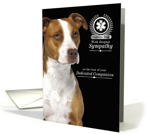 Sympathy Loss of a Service Dog American Pit Bull Terrier card