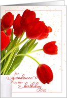 for Grandniece on her Birthday with Red Tulips in a Vase card