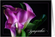German Sympathie with Purple Calla Lily on Black card