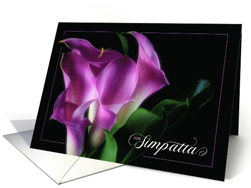 Italian Simpatia with Purple Calla Lily on Black card (1735454)