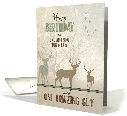 for Son in Law Birthday Deer in the Woodland Forest card (1837072)