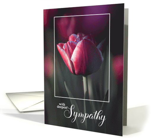 Deepest Sympathy Pink Solitary Tulip card (1849828)