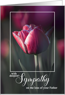 Father Passing Deepest Sympathy Pink Solitary Tulip card