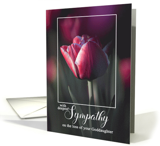 Goddaughter Passing Deepest Sympathy Pink Solitary Tulip card