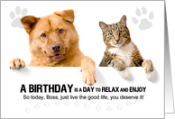 Boss’s Birthday Cute Cat and Dog with Paw Prints card
