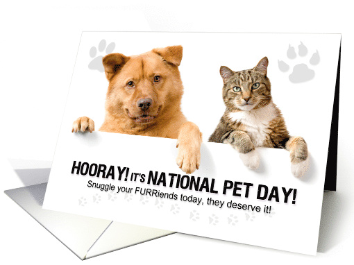 National Pet Day Cute Cat and Dog with Paw Prints card (1855788)