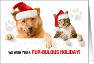 FURbulous Holiday Cat and Dog with Paw Prints card